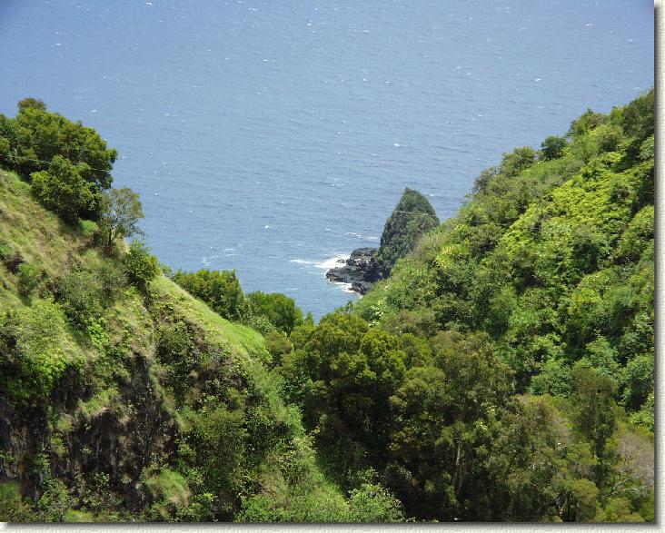 You have reached the last slide