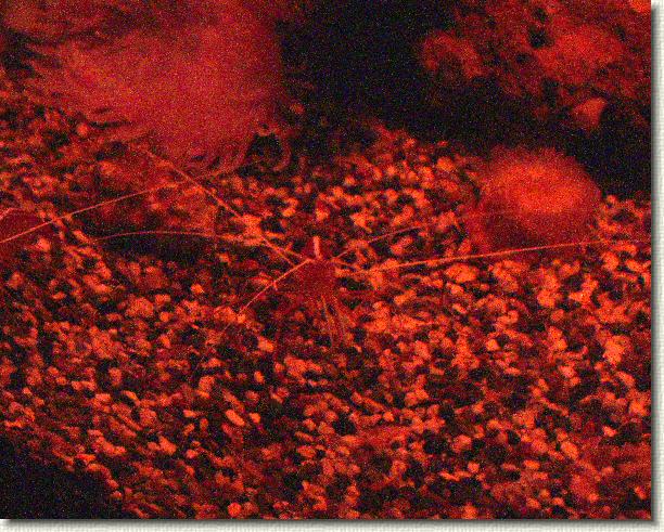 You have reached the last slide